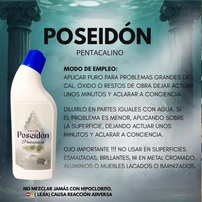 POSEIDON GEL DESINCRUSTANTE PARA WC Y MAS…