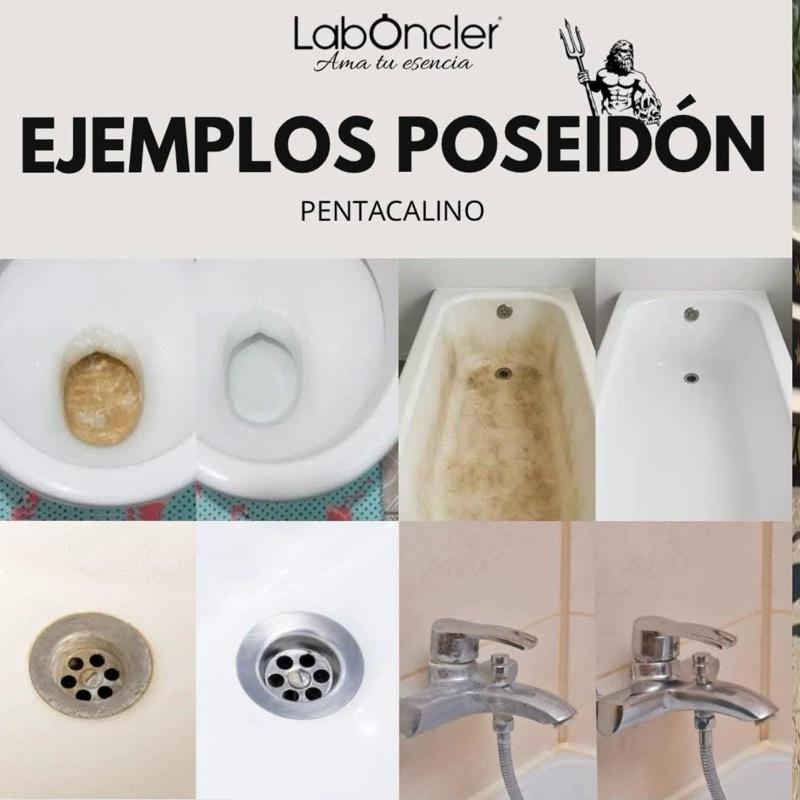 Pack Rincón con Estilo 2.0: 1 Poseidón, 1 Eco-Jin a Elegir con Difusor, 1 Fregasuelos a Elegir y Crema Oxidante.