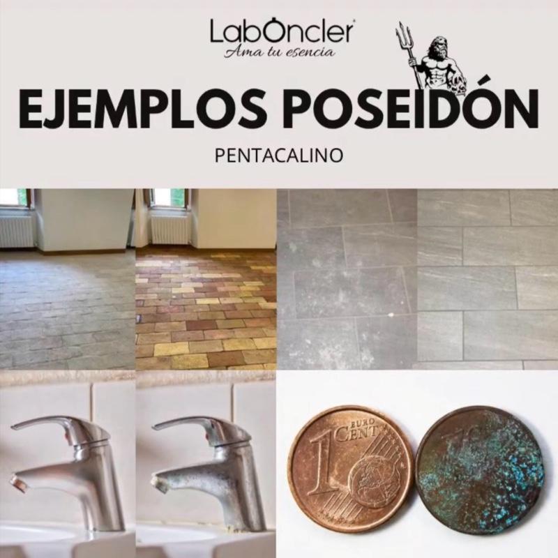 Pack Rincón con Estilo 2.0: 1 Poseidón, 1 Eco-Jin a Elegir con Difusor, 1 Fregasuelos a Elegir y Crema Oxidante.
